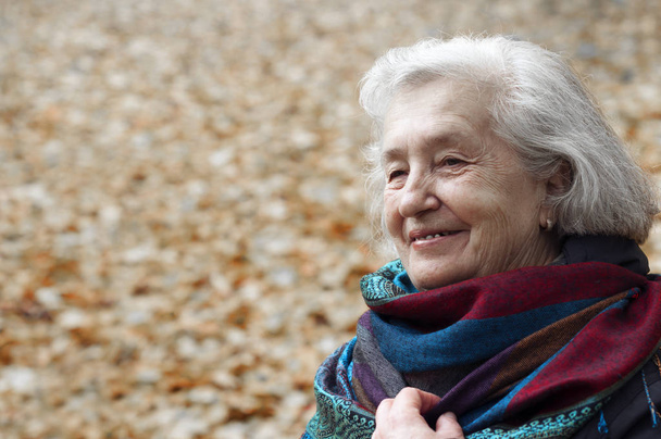 ηλικιωμένη γυναίκα για μια βόλτα σε ένα πάρκο στο απόγευμα του φθινοπώρου - Φωτογραφία, εικόνα