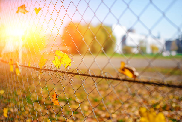 Metallic net-shaped fence from wire with autumn leaf stucked in it on a background of blur city. - Foto, Bild