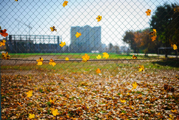 Valla metálica en forma de red de alambre con hoja de otoño metida en ella sobre un fondo de ciudad borrosa
. - Foto, imagen