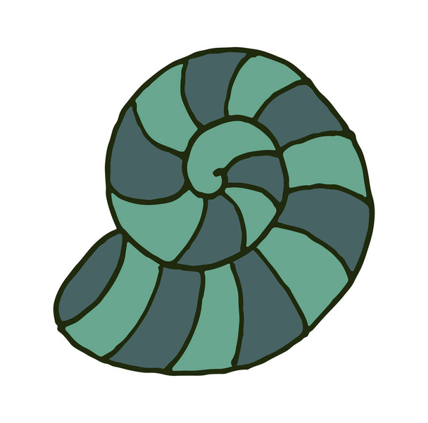 Vector kleurrijke doodle hand getekende zee schelp op witte achtergrond geïsoleerd. - Vector, afbeelding