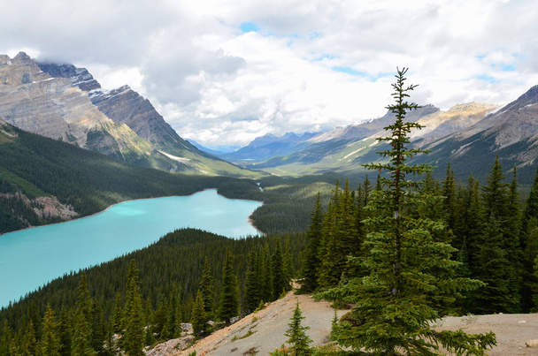 The Peyto Lake in Canada at a cloudy day - Photo, Image
