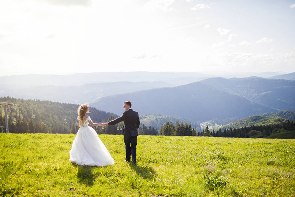 Wedding couple. Beautiful wedding couple in the mountains. - Foto, Bild