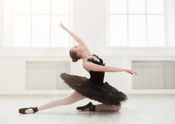 Belle ballerine gracieuse en robe de cygne noire
 - Photo, image