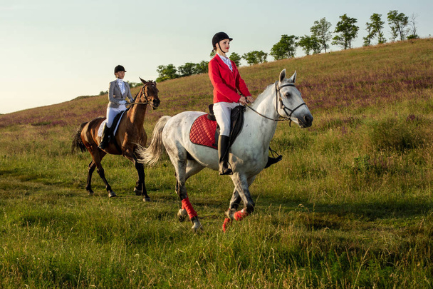 Jinetes a caballo. Dos mujeres atractivas montan caballos en un prado verde
 - Foto, imagen