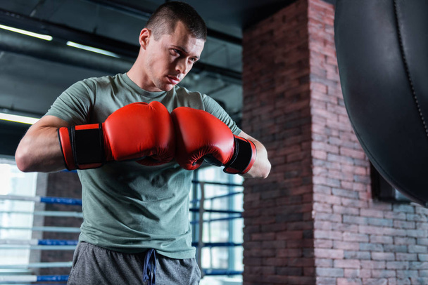 Serious dark-eyed boxer working out near punching bag - Foto, Imagen