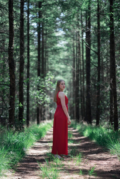 Ξανθιά γυναίκα στο κόκκινο φόρεμα στο δάσος μονοπάτι που αναζητούν πάνω από τον ώμο. - Φωτογραφία, εικόνα