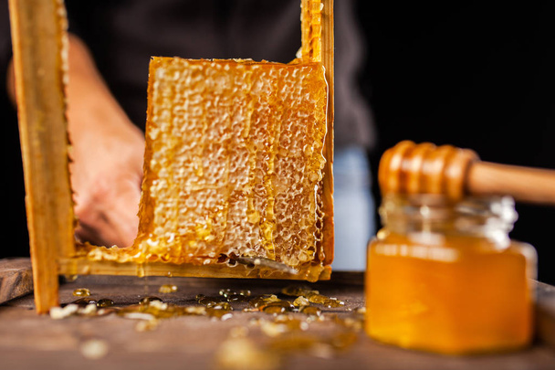 Honeycomb in a wooden frame - Foto, afbeelding