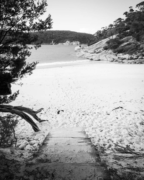 Entrée de la piste de marche de la plage de Refuge Cove dans le parc national Wilsons Promontory, Victoria, Australie en noir et blanc
 - Photo, image