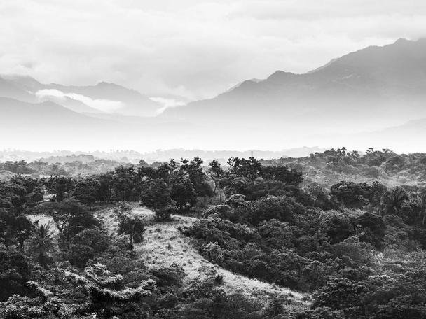 Jungle landschap schilderachtige met bergen aan de horizon in Chiapas, Mexico in zwart-wit - Foto, afbeelding