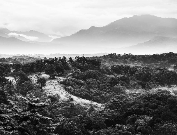 Jungle landscape scenic with mountains on the horizon in Chiapas, Mexico in black and white - Photo, Image