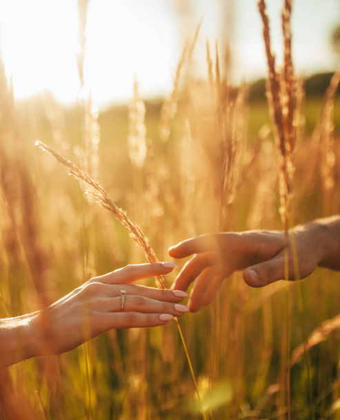 Touch of female and male hands against background of grass and spikes. Backlit. - Photo, image