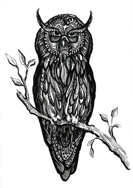 Owl in glasses sits on a tree - Vektori, kuva