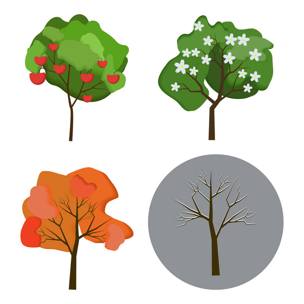 Conjunto vetorial de árvores de outono, inverno, primavera e verão sobre fundo branco. Estilo plano
. - Vetor, Imagem
