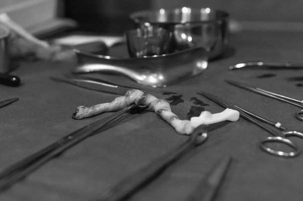 Marietta, Ohio, April 2018, A umbilical cord on the table with medical tools after a birth - Photo, Image