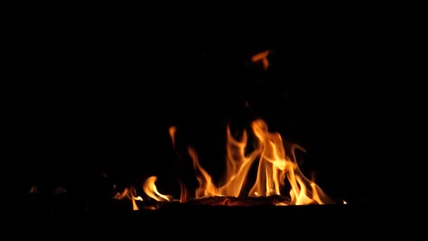 prachtige vuur brandt rood vonken vliegen omhoog, slow motion, close-up - Video