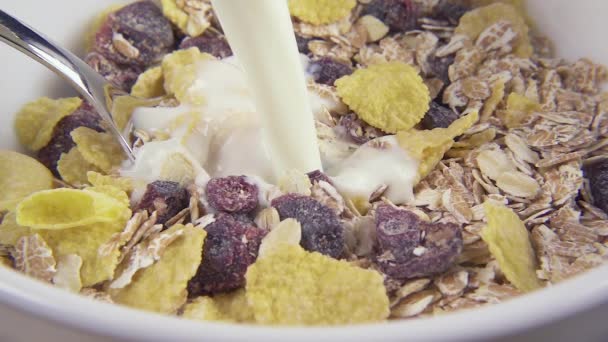 in Hafer und Cornflakes mit getrockneten Früchten gießen Milch Zeitlupe - Filmmaterial, Video