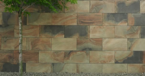 Muur bedekt met grote decoratieve tegels, Gemarmerde knikkers, kan worden gebruikt als achtergrond, straat, onderdeel van de kroon van het loof van de groene boom zich dichtbij, ruimte voor tekst - Video