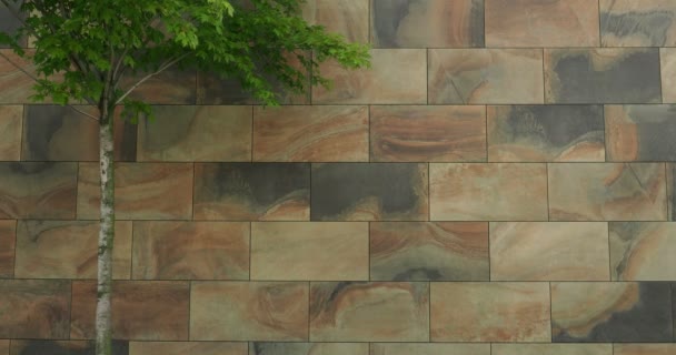 Wand mit großen dekorativen Fliesen, marmorierter Marmor, als Hintergrund verwendbar, Straße, Teil der Krone des in der Nähe stehenden grünen Baumblattes, Platz für Text - Filmmaterial, Video