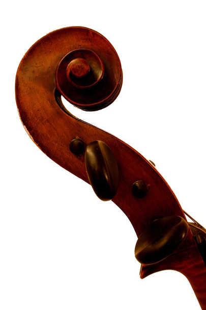 Parte superior del violonchelo sobre fondo blanco
 - Foto, Imagen