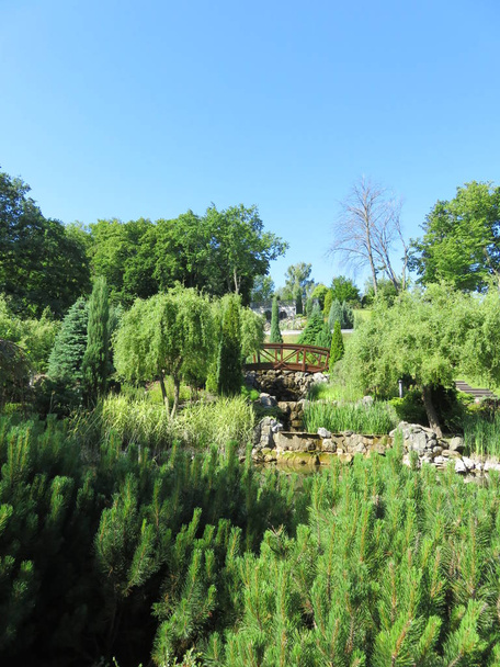vue ensoleillée d'été dans un beau parc sur une colline avec des arbres, des buissons, un pont et une échelle
 - Photo, image