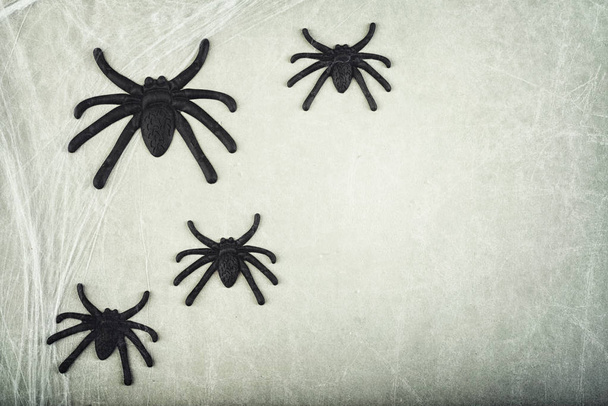 Halloween concept with spiders on gray background - 写真・画像