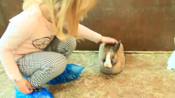 Little girl stroking rabbit in zoo. Child taking care of pet - Footage, Video