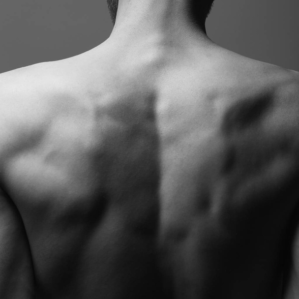 Art concept of male body's natural beauty. Back of young man posing over gray background. Avant-garde style. Close up. Black and white studio shot - Fotó, kép