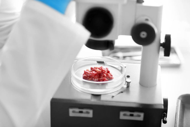Vědec pomocí mikroskopu pro zkoumání vzorku masa v laboratoři - Fotografie, Obrázek
