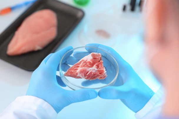 Επιστήμονας κρατώντας Petri πιάτο με κρέας δείγμα στο εργαστήριο, κοντινό πλάνο - Φωτογραφία, εικόνα