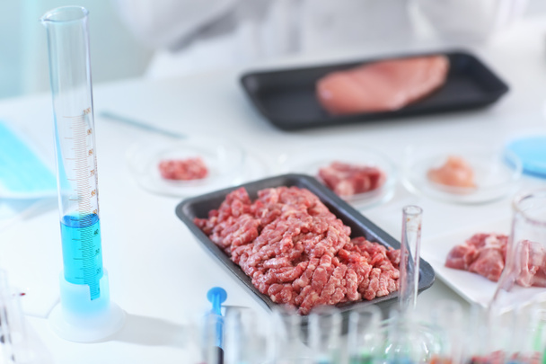 Fresh forcemeat on table in laboratory - Fotografie, Obrázek