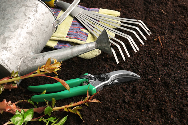 Gardening equipment with plant on soil - Fotó, kép