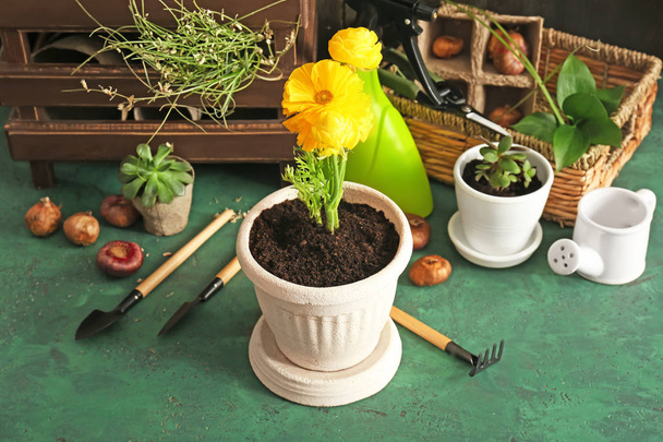 Pot plants and gardening tools near wooden wall - Fotografie, Obrázek