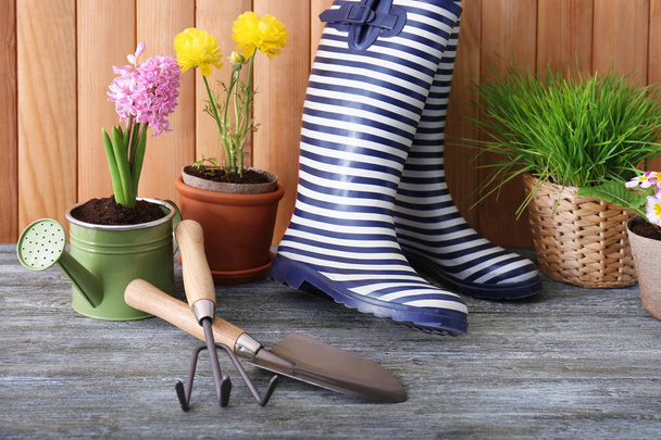 Gardening tools with gumboots and plants in pots on wooden background - Fotografie, Obrázek