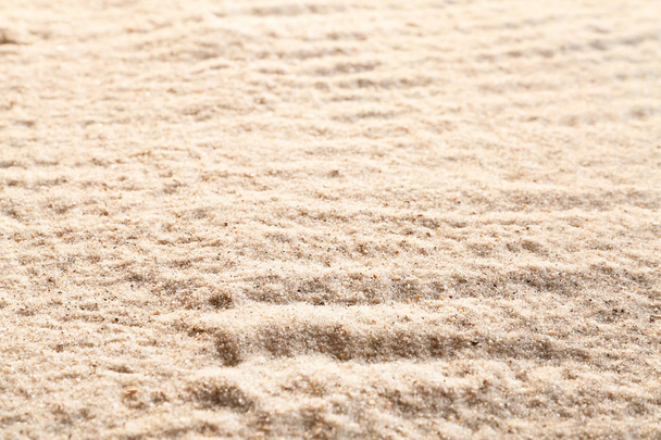 Beach sand, close up - Photo, image