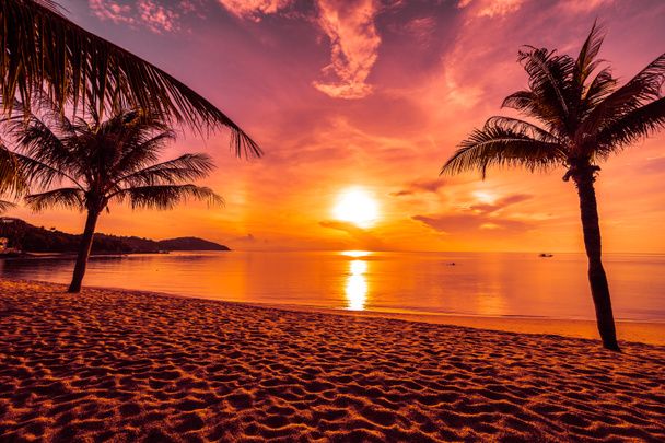 Au coucher du soleil sur l'île paradisiaque tropicale plage et mer avec cocotier pour les vacances et les vacances
 - Photo, image