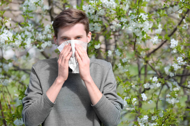 開花木の近くの鼻のワイパーと若い男。アレルギーの概念 - 写真・画像