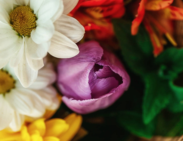 Bouquet of beautiful flowers, closeup - Fotoğraf, Görsel
