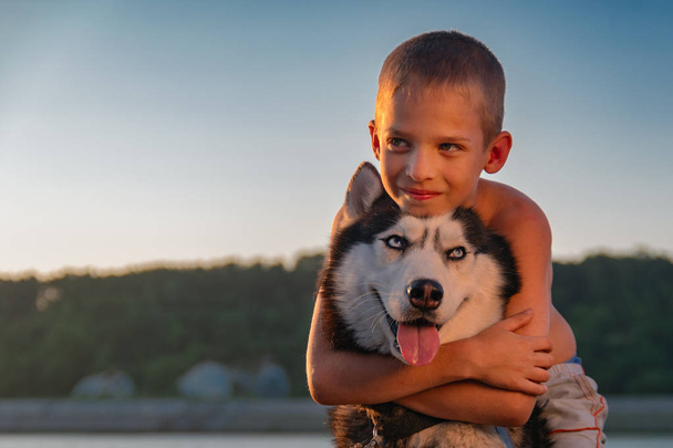 Portrait cute boy hugging dog Siberian husky. Child hugs husky dog on summer evening beach. Concept of love to pet. Copy space. - Foto, imagen