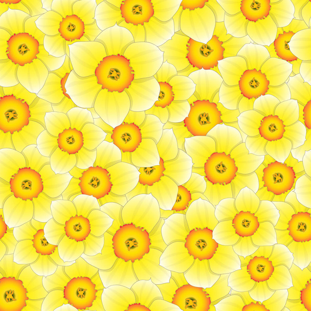 Narciso amarillo - Narciso Fondo sin costuras. Ilustración vectorial
. - Vector, Imagen