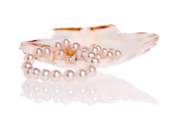 Perly náhrdelník uvnitř hřebenatka shell - Fotografie, Obrázek
