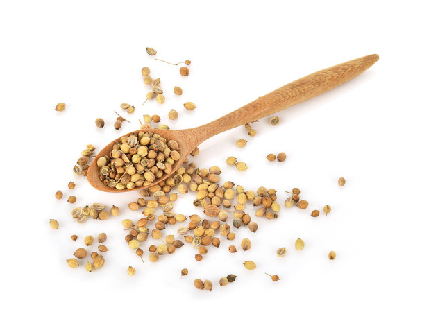 coriander seeds in a wooden spoon - Photo, Image