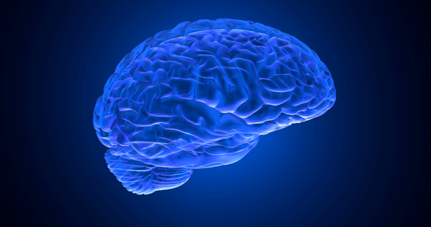 menschliches Gehirn 3D-Rendering - Filmmaterial, Video