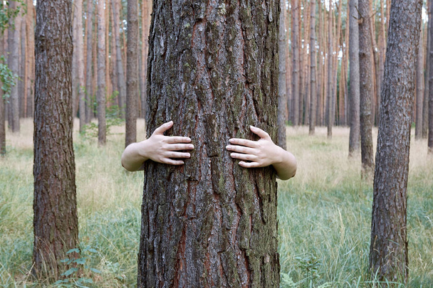 Mladá žena objímala kmen stromu v lese v létě - Fotografie, Obrázek