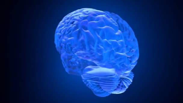 menschliches Gehirn 3D-Rendering - Filmmaterial, Video
