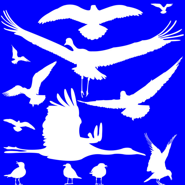 White birds silhouettes over blue - Вектор,изображение