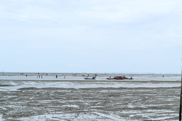 海上観光客やサムット ・ songkham、タイでのドン ホイをたくさんで床の泥にカタツムリの殻を探している観光客のボート. - 写真・画像