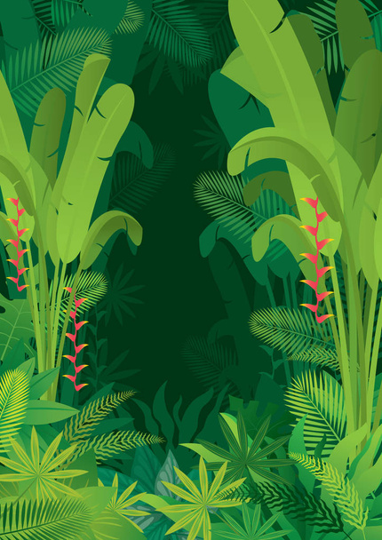 Forrest, las deszczowy, roślin i przyroda  - Wektor, obraz