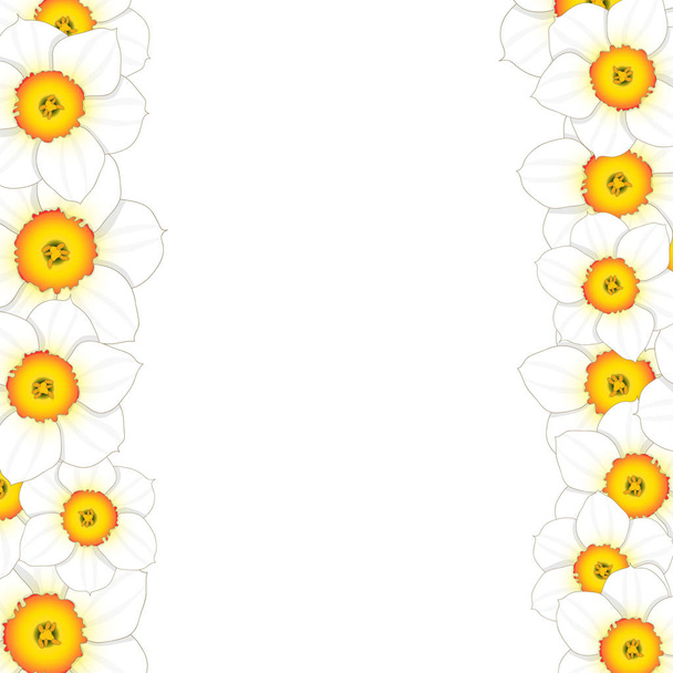 Valkoinen daffodil - Narcissus Flower Border. Vektorikuvaus
. - Vektori, kuva