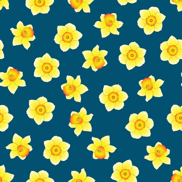 Narciso amarillo: flor de Narciso sobre fondo azul índigo. Ilustración vectorial
. - Vector, imagen