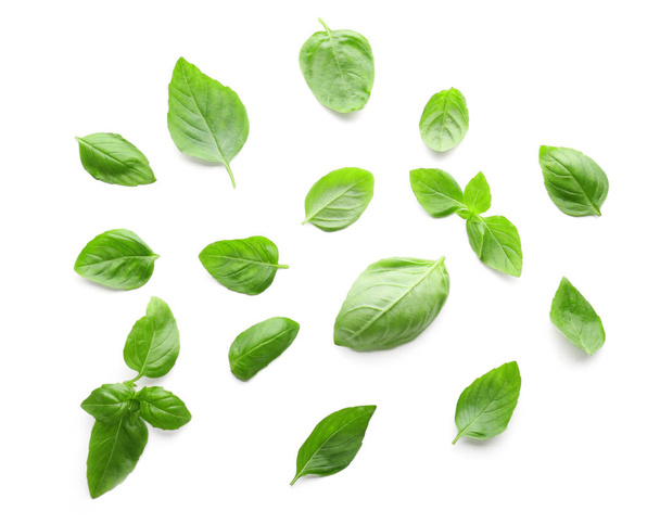 foglie di basilico verde fresco su fondo bianco - Foto, immagini